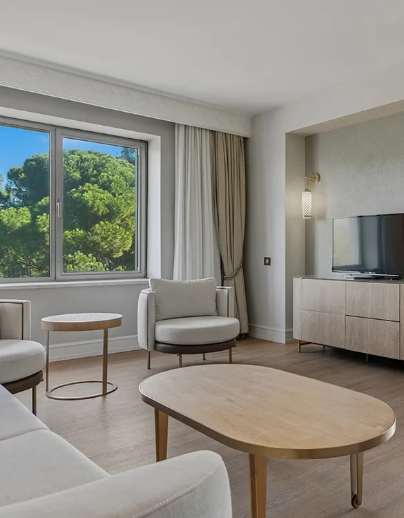 Deluxe Suite 5