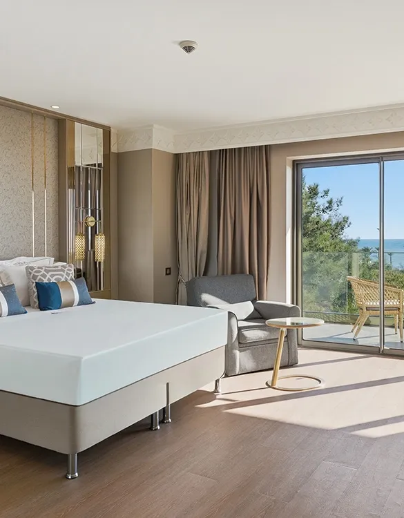 Deluxe Suite 1